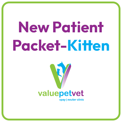 Care Guide for New Kittens